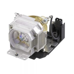 base_image_label-100287-56691