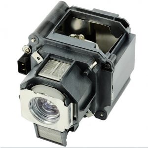 base_image_label-300975-OI61696