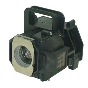 base_image_label-300387-OI65675