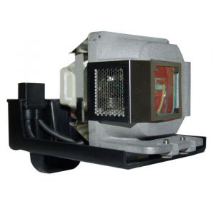 VIEWSONIC PJ559D Original Inside Projector Lamp - Replaces RLC-036